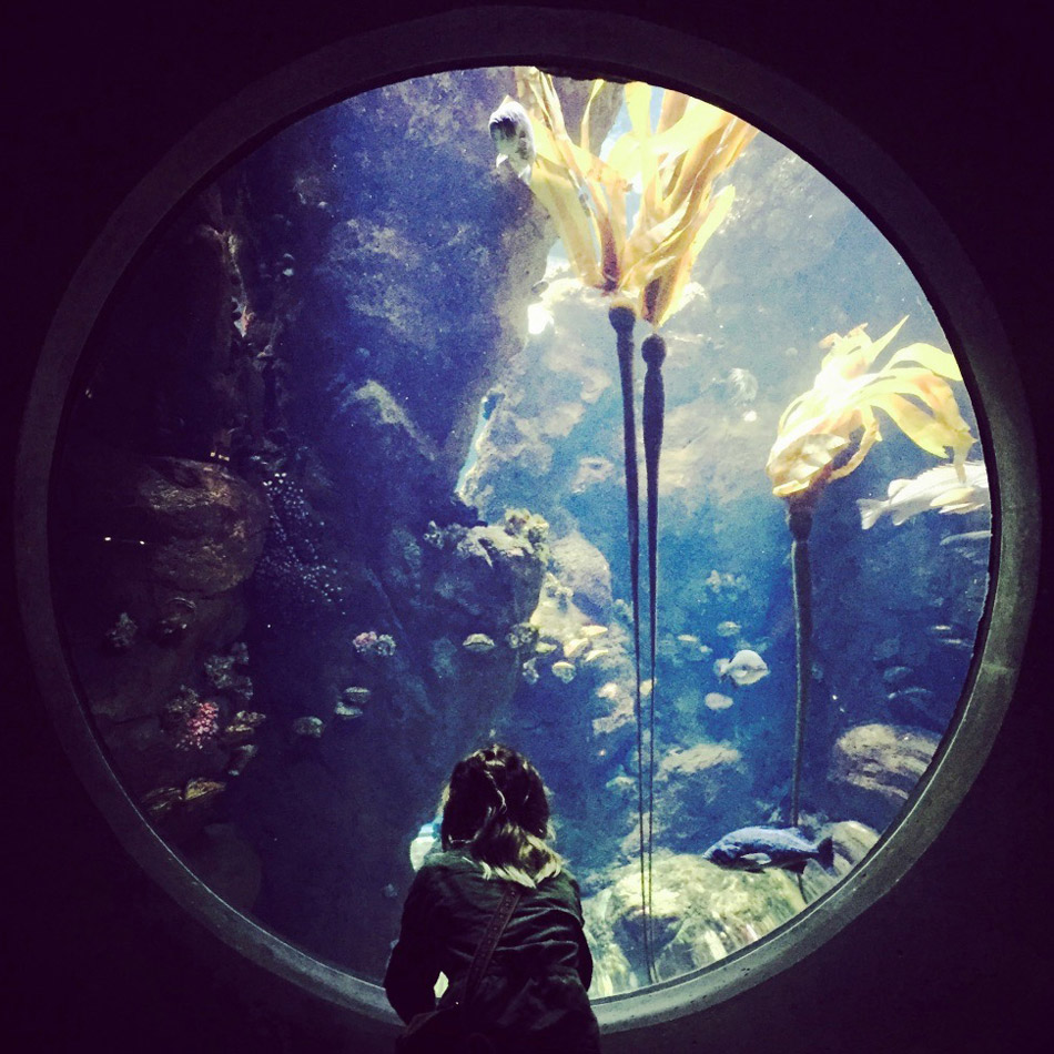 siloquette girl in front of museum aquarium exhibit